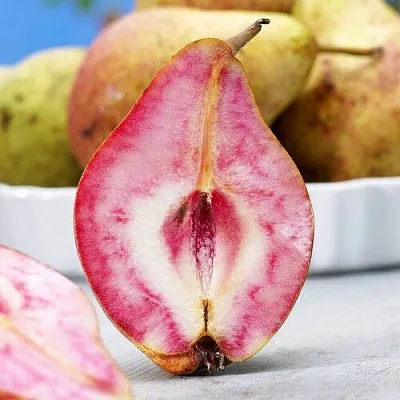 Груша БЛЮТБЕРН  Груша БЛЮТБЕРН в Ярославле